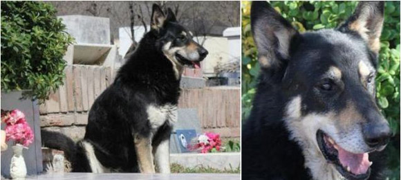 Δεν τους χώρισε ο θάνατος