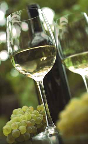 Γεύση Σαντορίνης στην Αυστραλία…