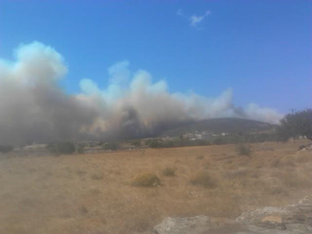 Φωτογραφία από τη φωτιά