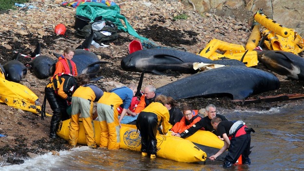 Συγκινητική επιχείρηση διάσωσης