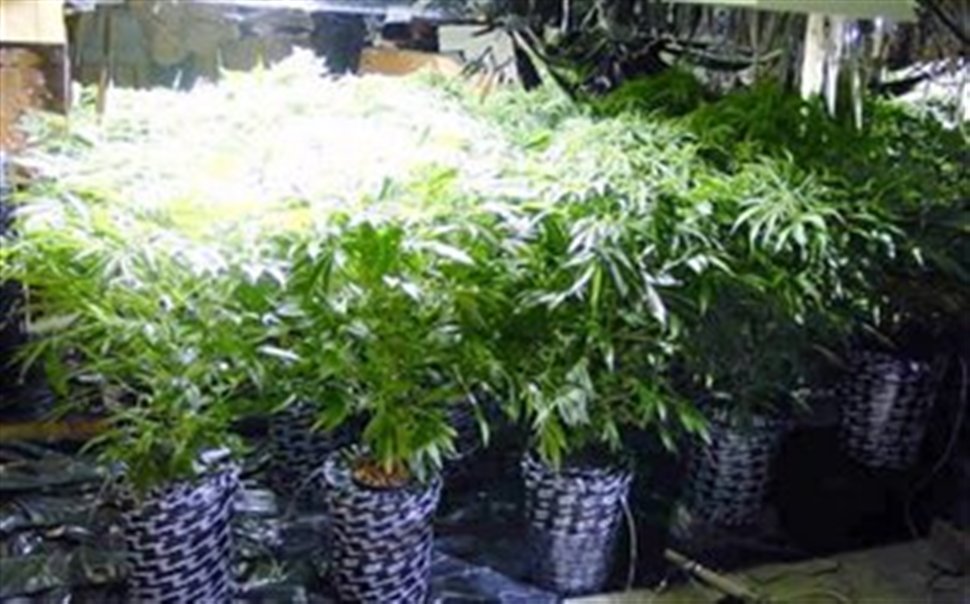 Είχε τον κήπο για…καμουφλάζ