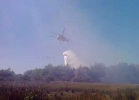 Βίντεο-Πυρκαγιά στην Ηλεία