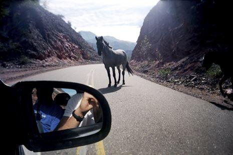 Σύγκρουση ΚΤΕΛ με…άλογο