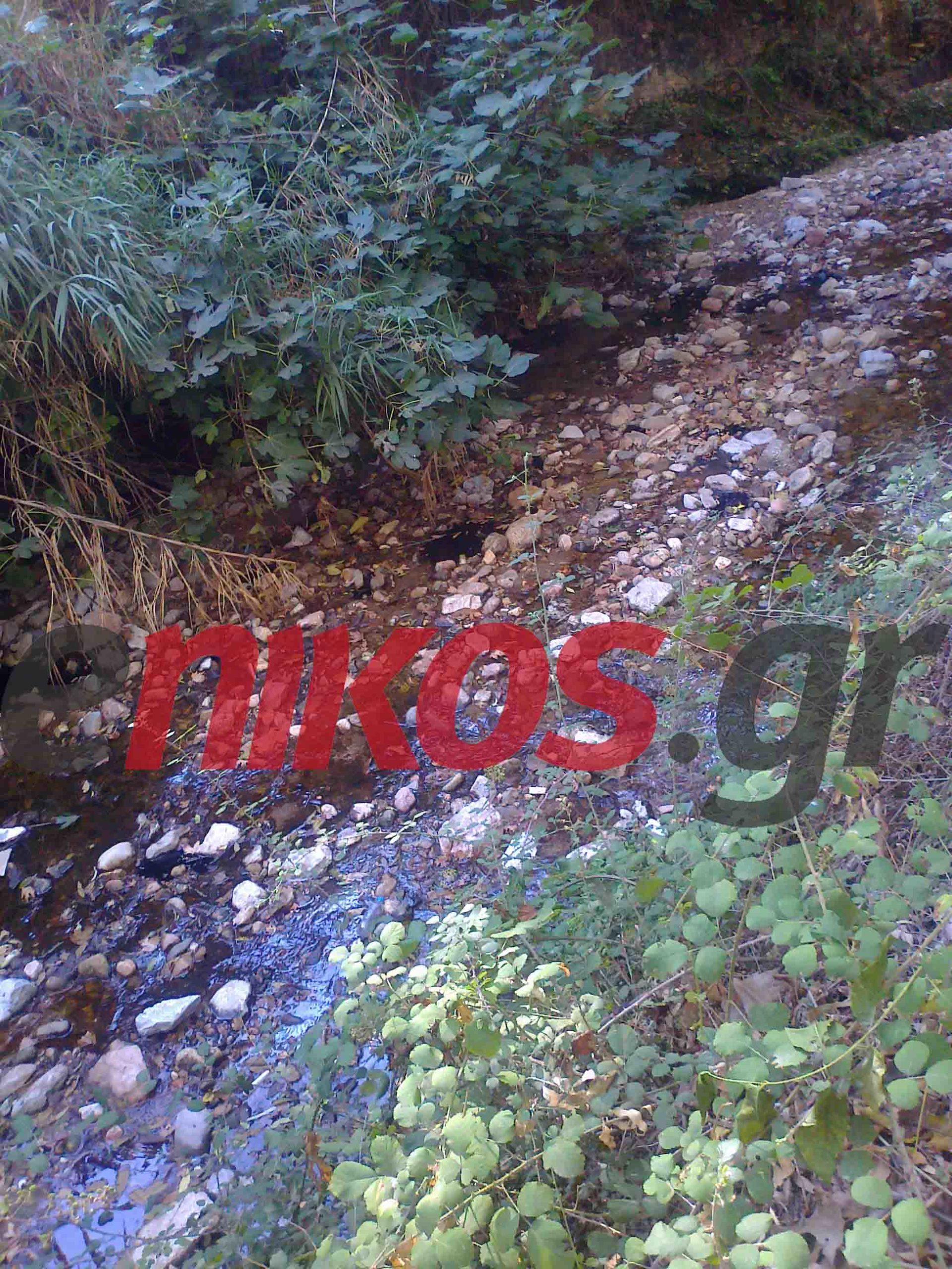 2η ημέρα καταγγελιών: Οικολογική καταστροφή στο ρέμα Χαλανδρίου