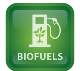 Από τηγανέλαιο…βιοντίζελ