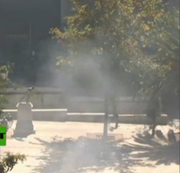 Τώρα-Καίγονται δέντρα στον Εθνικό Κήπο