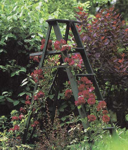 Τραγικά άτυχος…