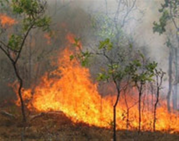 Τώρα-Φωτιά στη Θεσσαλονίκη