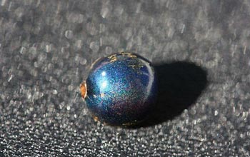 Σε φρούτο το πιο έντονο μπλε