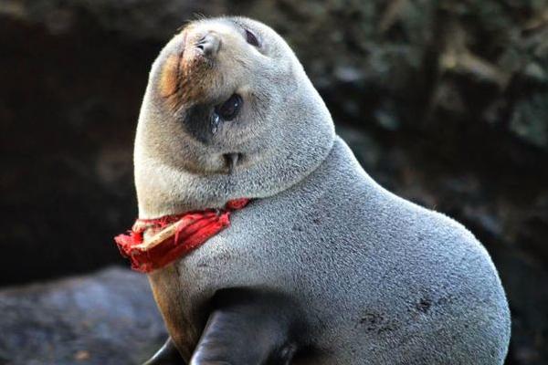 Κόντεψε να πνιγεί με στρινγκ