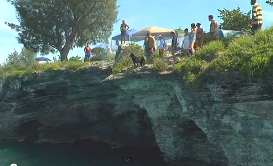 Σκύλος λατρεύει τις καταδύσεις!