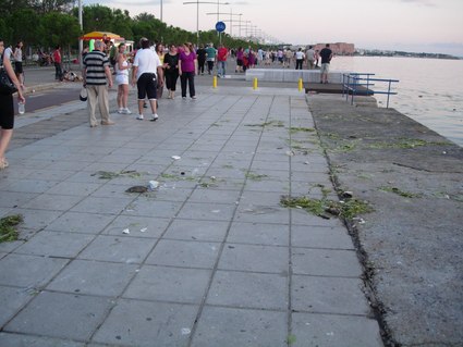 Πρόβλημα ανάπτυξης τρωκτικών