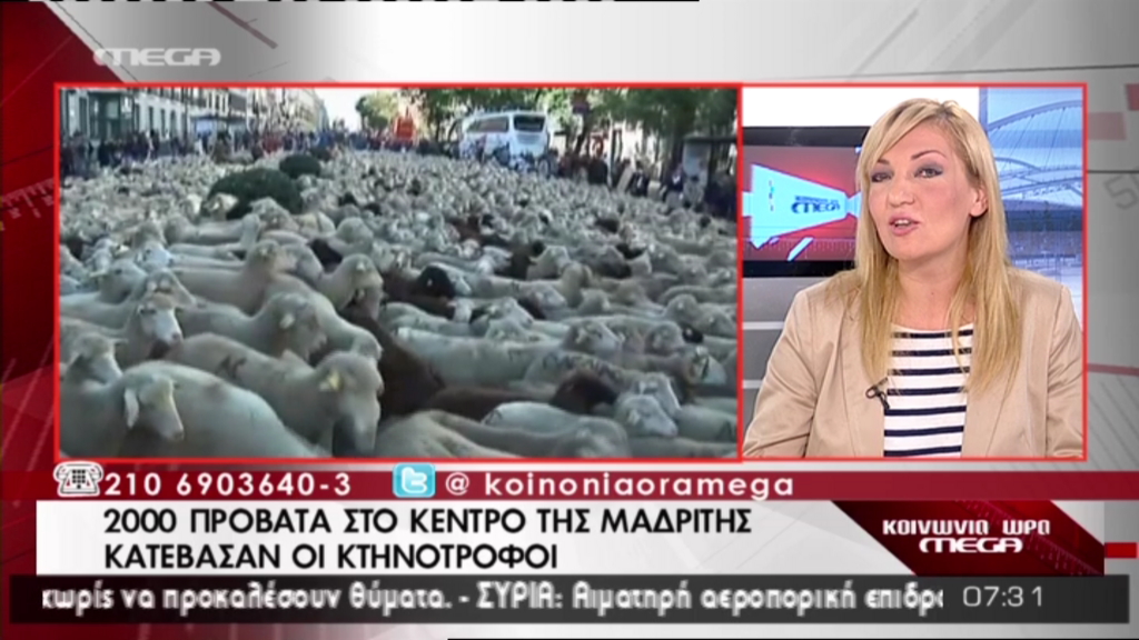 2.000 πρόβατα στους δρόμους