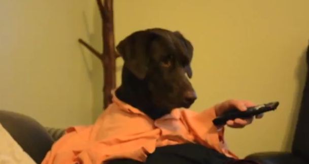 Αυτός είναι σκύλος!