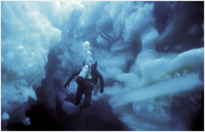 Ξενάγηση στην … Ανταρκτική