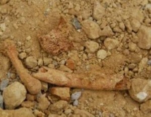 Βρήκαν οστά δίπλα από το στάδιο