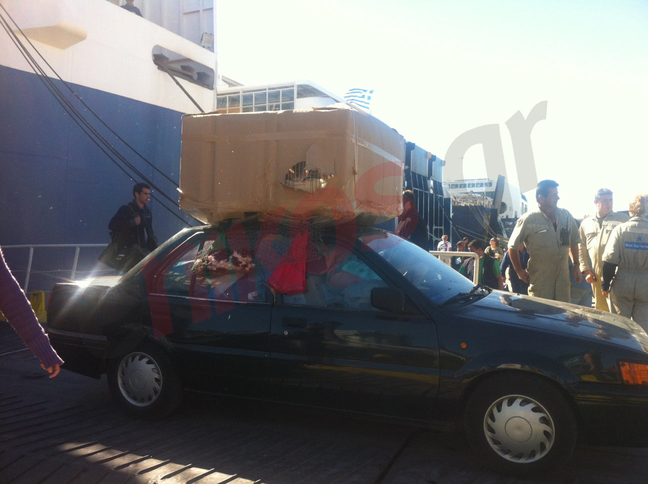 “Τύλιξε” τη γάτα σε συρματόπλεγμα