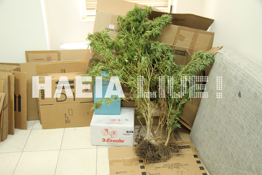 Πρώην αστυνομικός με…χασίς