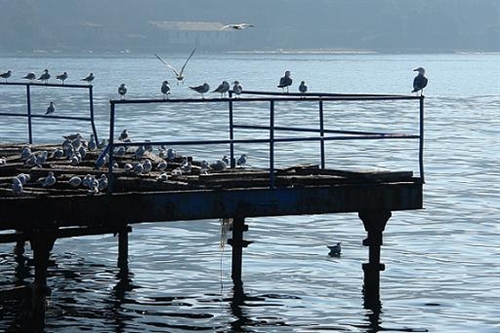 75χρονη πνίγηκε στη λίμνη Ευβοίας