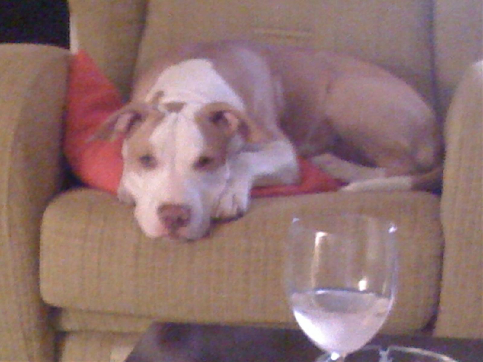 ‘Οποιος βρει την Μαλού…