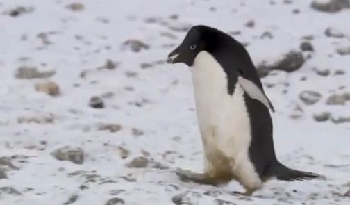 Το πιο χαριτωμένο “έγκλημα”…