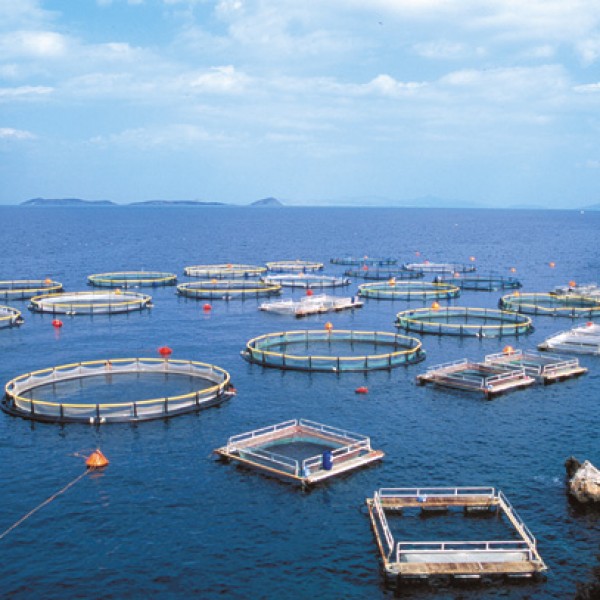 Νεκρός 32χρονος ψαροντουφεκάς