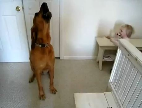 Το απόλυτο μουσικό δίδυμο