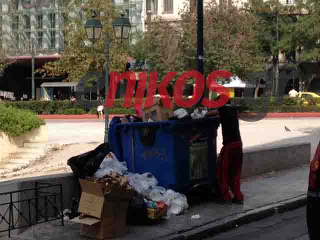 Ψάχνει φαγητό στα σκουπίδια…