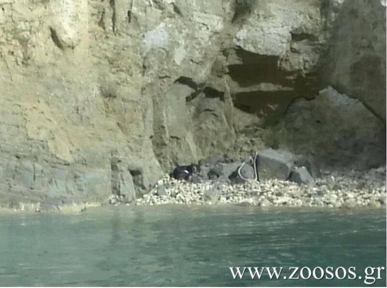 Έσωσαν σκυλάκι στον Ισθμό