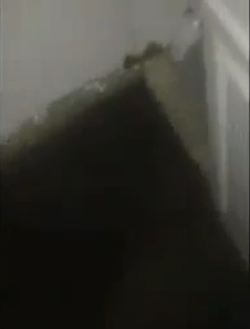 Πλημμύρισε το σπίτι του Wahlberg