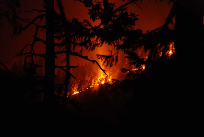 Τώρα-Φωτιά στον Κιθαιρώνα