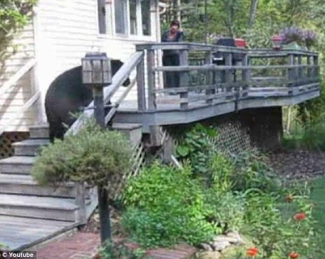 Βρήκε αρκούδα στην αυλή της!