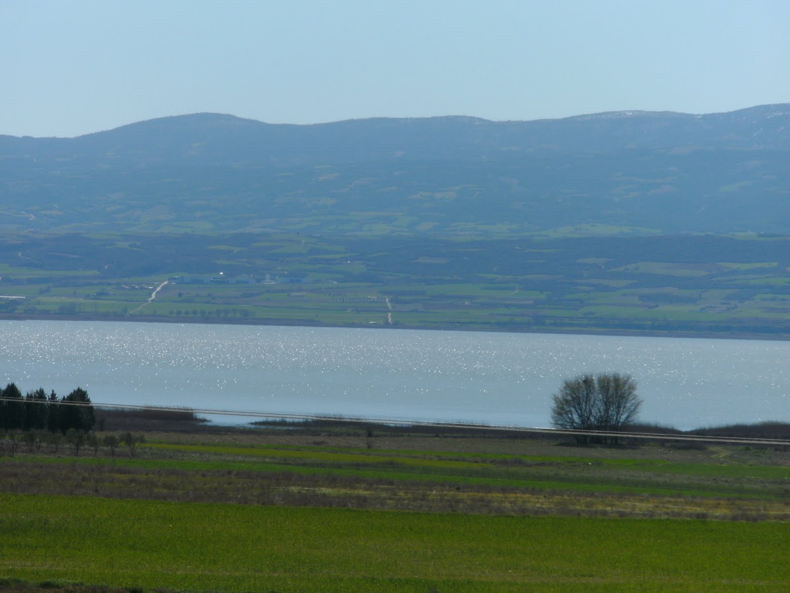Στο δικαστήριο για την Κορώνεια