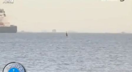 Δελφίνια στη Θεσσαλονίκη