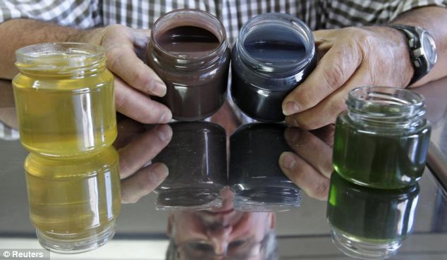 Μέλισσες παράγουν χρωματιστό μέλι!