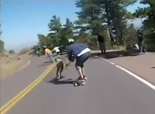 Συγκρούστηκε με ελάφι!