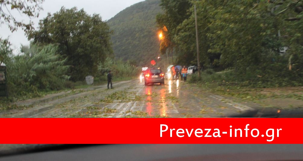 Πλάτανος έκλεισε την εθνική