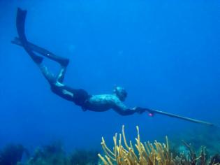 Τώρα-Ψάχνουν ψαροντουφεκά