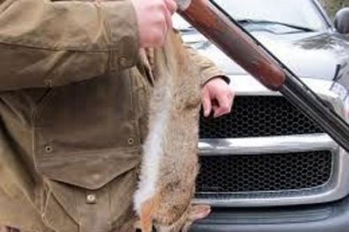 Στο τμήμα με το… λαγό