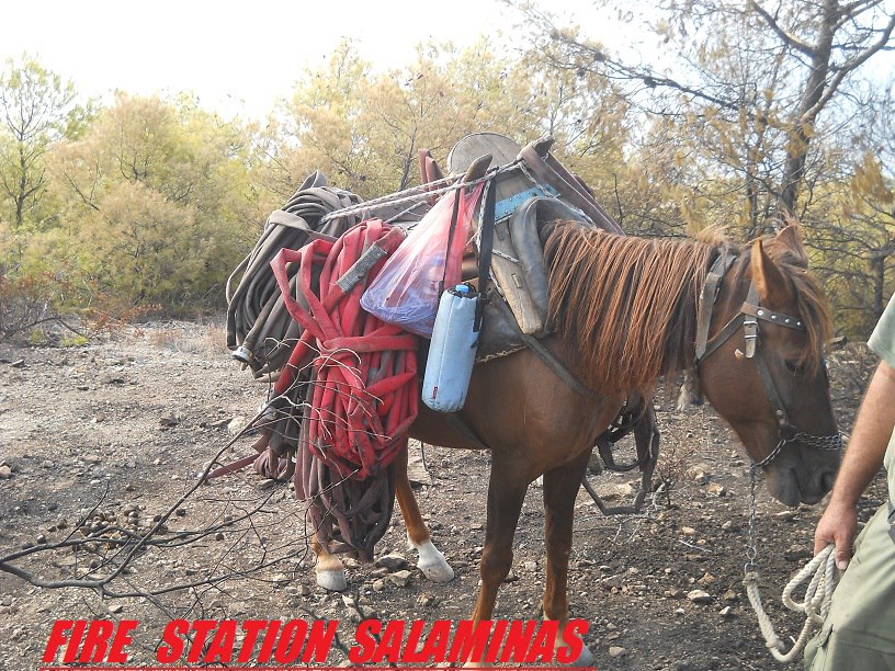 Πυροσβεστικά… γαϊδούρια!