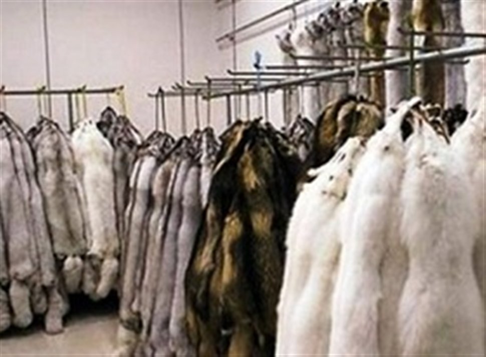 Έκλεψαν τις γούνες με ριφιφί