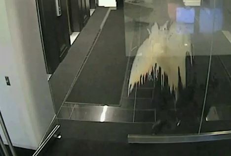 Όταν δεν κοιτώ μπροστά μου…