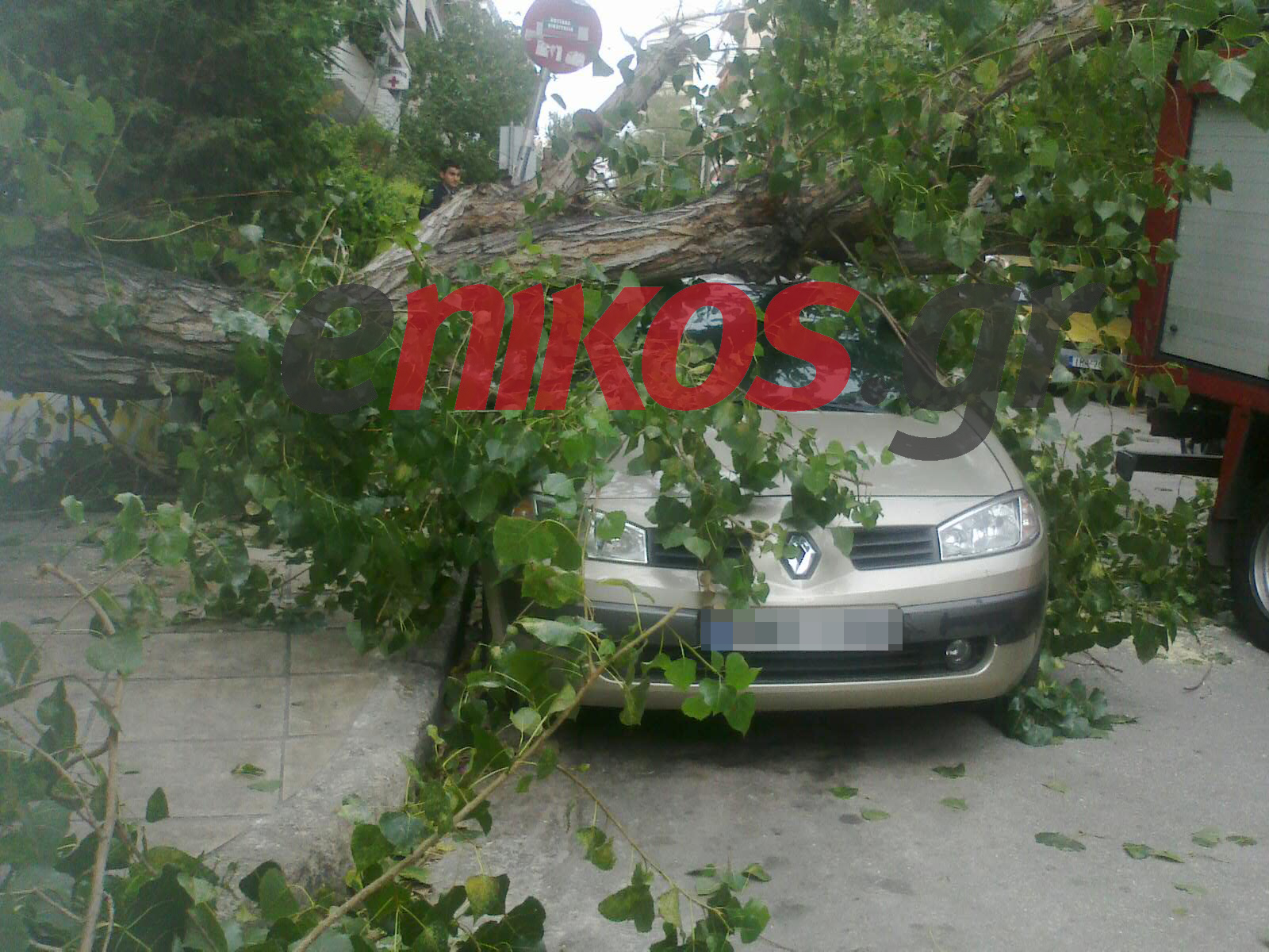 Δέντρο έπεσε σε αυτοκίνητο στους Αμπελόκηπους