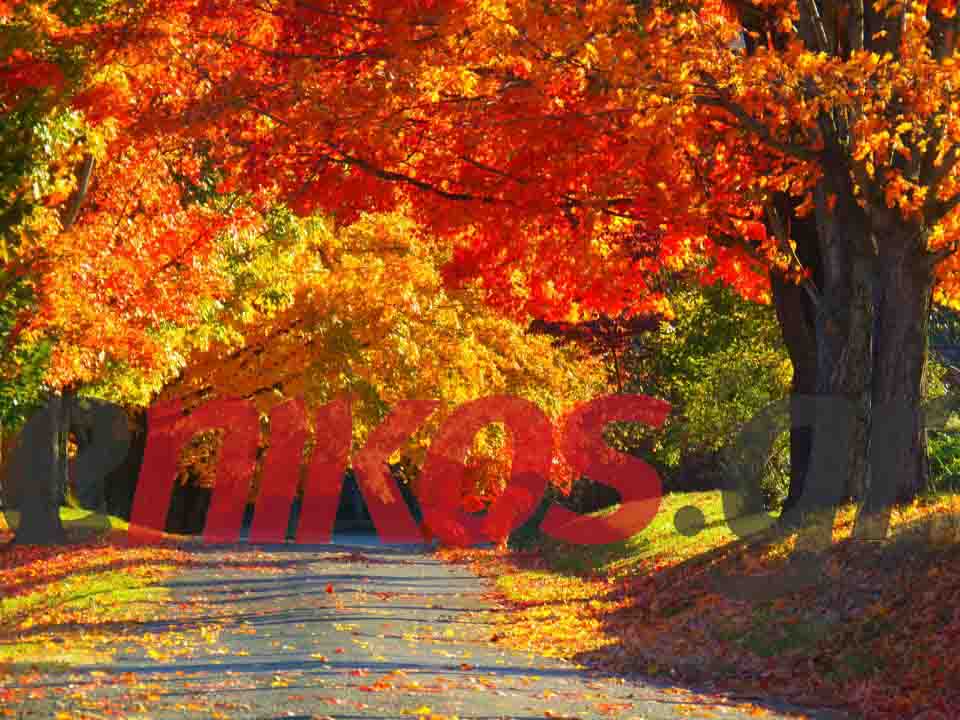 Αναγνώστης μας στο “μάτι του… τυφώνα”