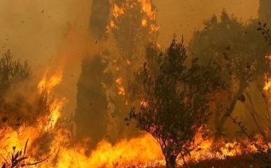 Νέες πυρκαγιές στην Κρήτη