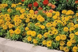 Η πιο τρελή μήνυση