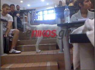 Βίντεο: «Μπάτε σκύλοι αλέστε στη Νομική Σχολή!»