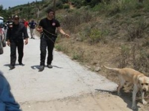 Προανάκριση για τον σκελετό