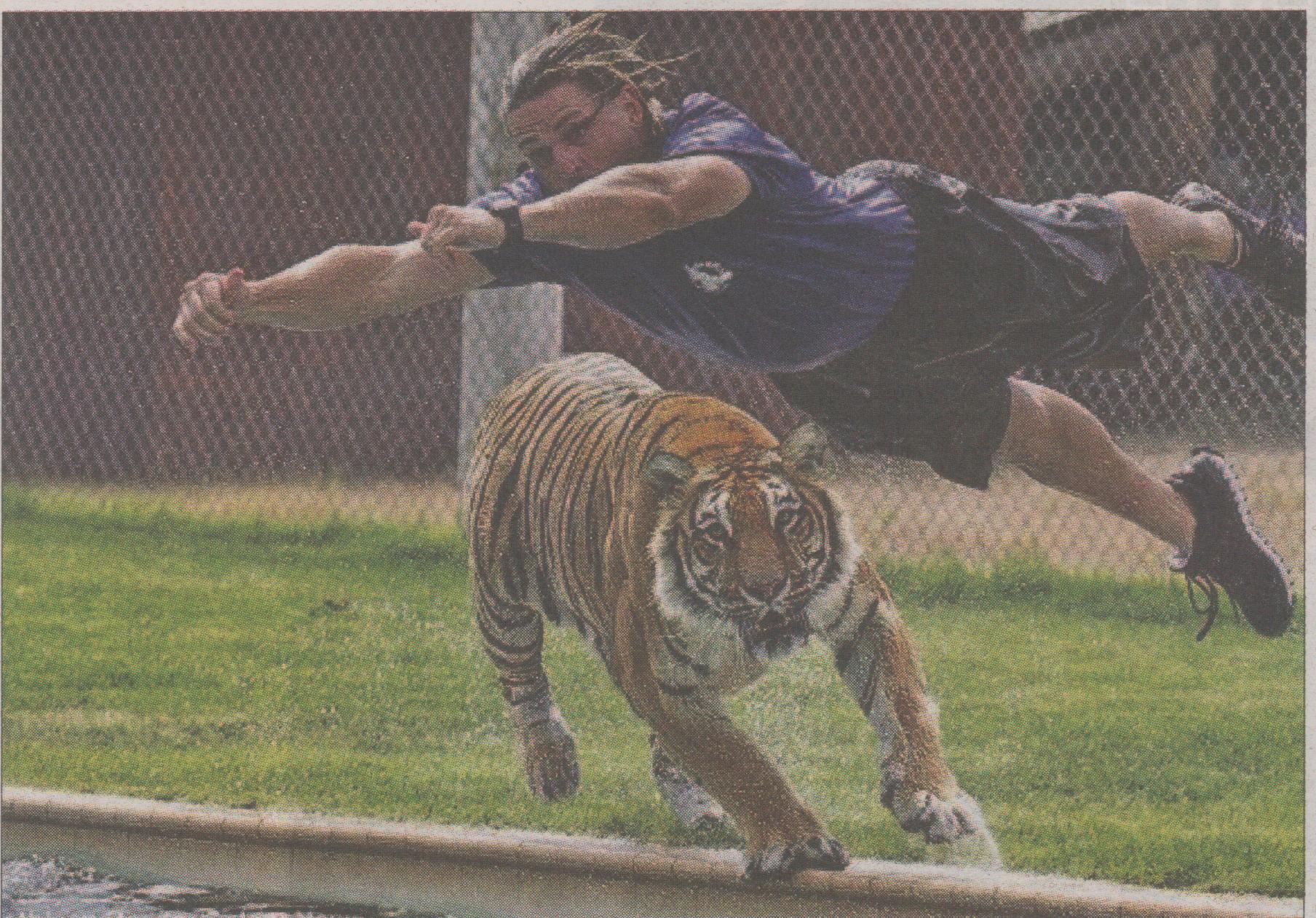 Το παιχνίδι με την τίγρη