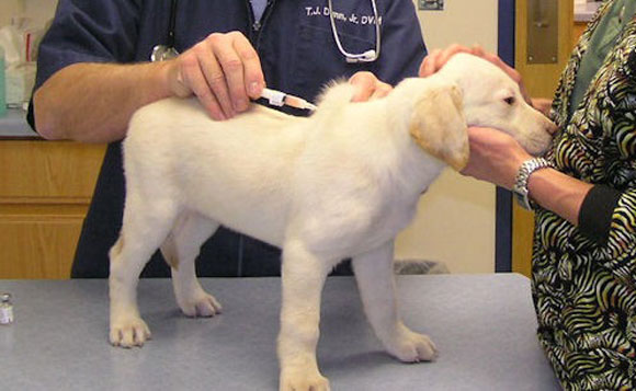 Ανάστατη η Κοζάνη